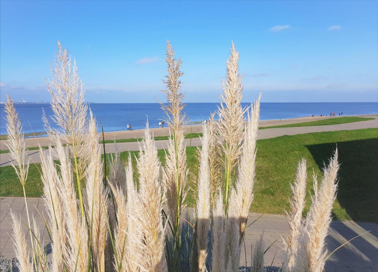 Apartment Jadestrand, Am Alten Deich 4-6, Whg 1 20 Дангаст Екстер'єр фото